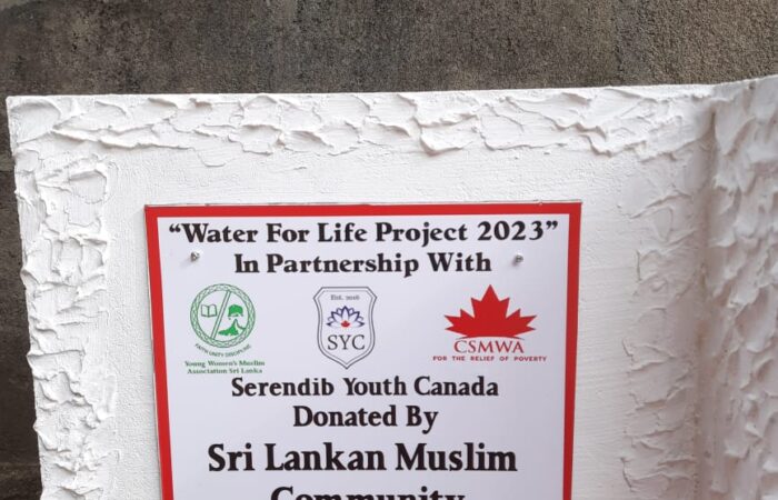 SYC Well Project 2023